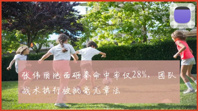张伟丽地面砸拳命中率仅28%，团队战术执行被批毫无章法