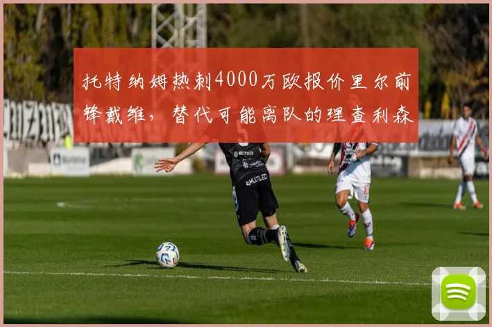 托特纳姆热刺4000万欧报价里尔前锋戴维,替代可能离队的理查利森